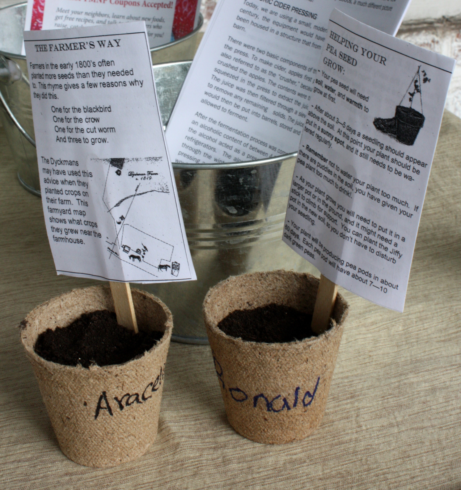 Seeds Planted in Jiffy Pots